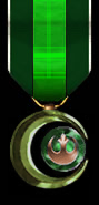 Squadrons Combat Citation