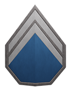 Senior Pilot