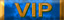 VIP Security Training I